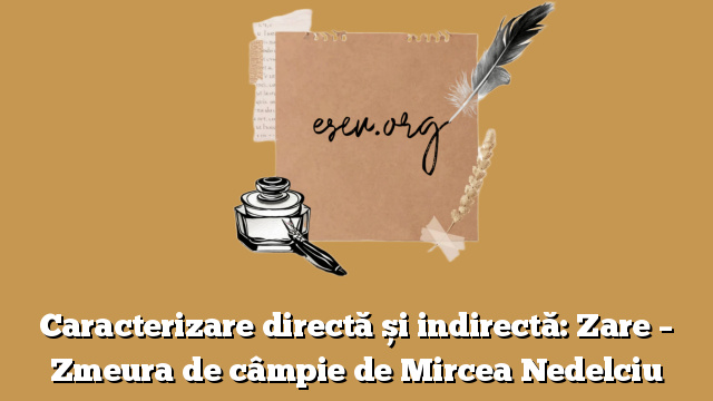 Caracterizare directă și indirectă: Zare – Zmeura de câmpie de Mircea Nedelciu
