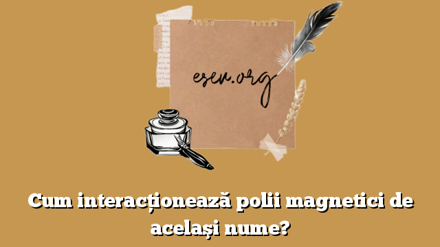 Cum interacţionează polii magnetici de acelaşi nume?