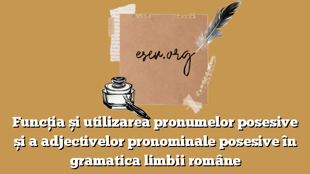 Funcția și utilizarea pronumelor posesive și a adjectivelor pronominale posesive în gramatica limbii române